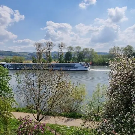 Ferienwohnung Moselglück Schweich Exterior foto