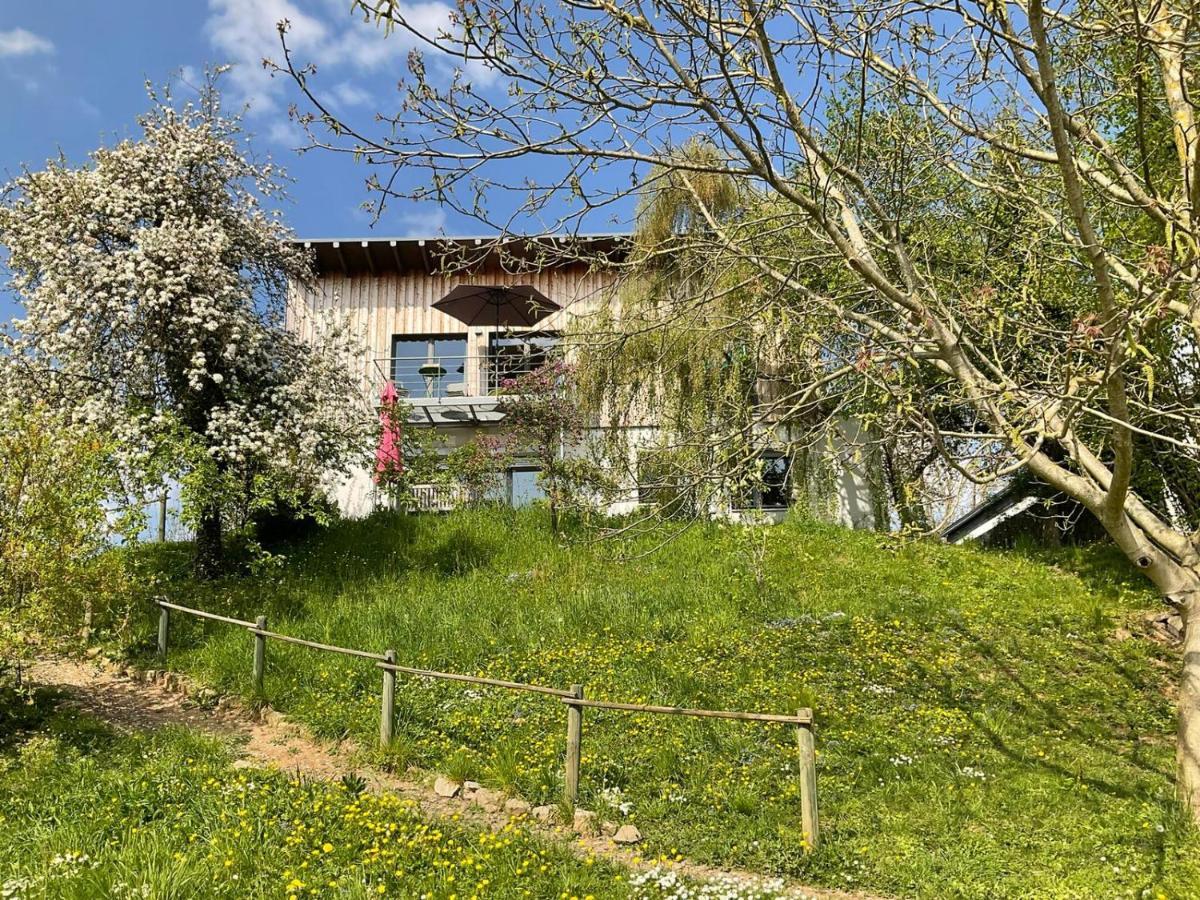 Apartment Moselglück