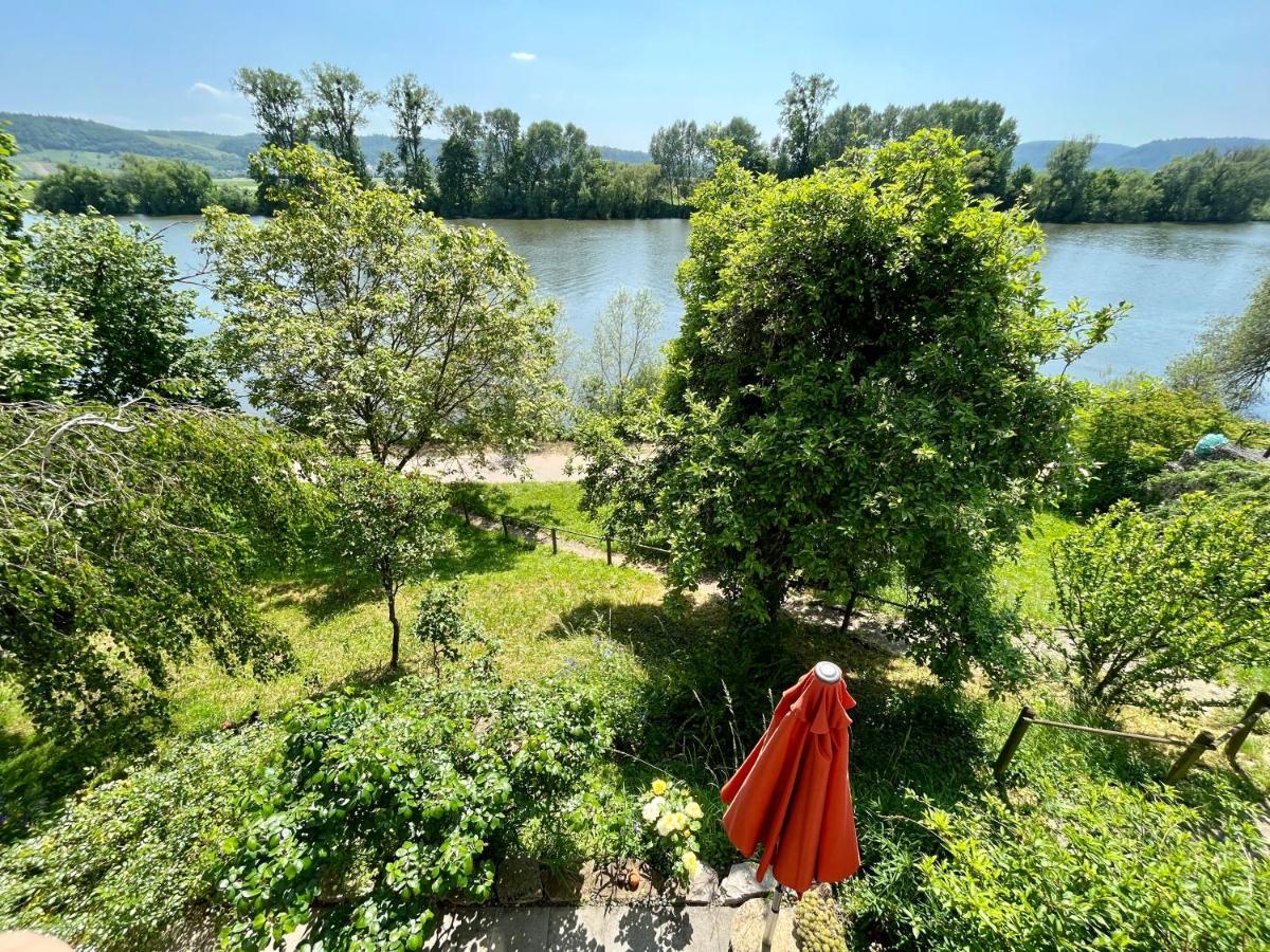Moselglueck Appartement